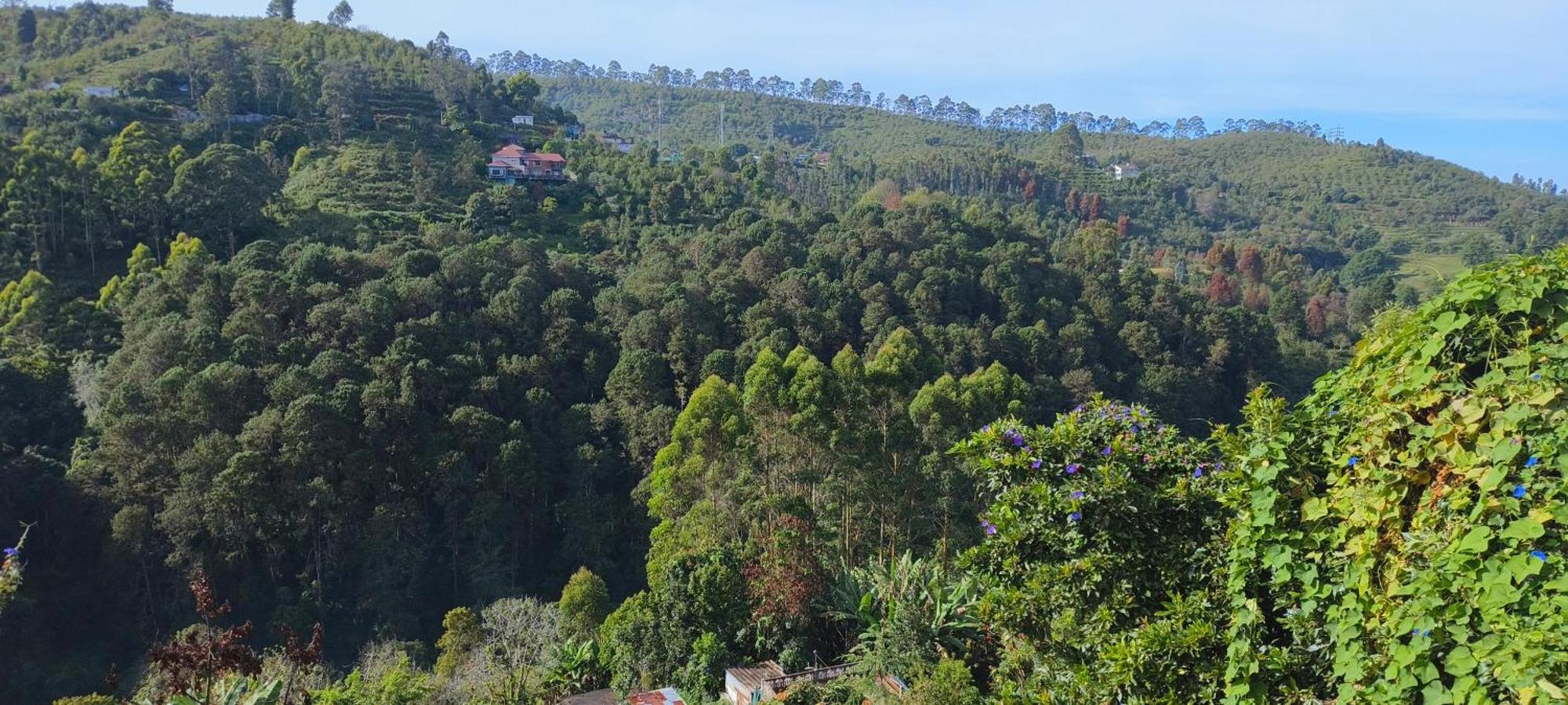 Highland Heaven Kodaikanal Exterior foto